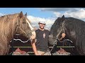Caii lui Ilie Hutan | Horodnic de Sus, Bucovina - 2 Iulie 2017