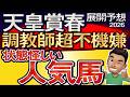 【天皇賞春2026展開予想・データ分析】調教師超不機嫌!状態怪しい人気馬!クロワデュノール、ヘデントール、アドマイヤテラ、ヴェルミセル、ホーエリート、アクアヴァーナル、ルメール、武豊など参戦