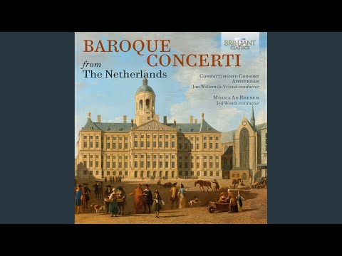 Concerto Grosso I in G Minor, Op. 3: II. Allegro