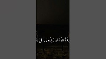 سورة طه | اية ١٣ - ١٦ | القارئ شريف مصطفى 🩶😔.
