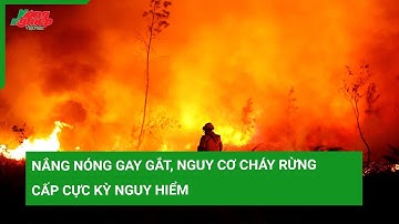 Nắng nóng gay gắt, nguy cơ cháy rừng cấp cực kỳ nguy hiểm