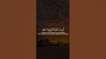 تلاوة جميلة جداً من القرٱن الكريم #relaxing #اكسبلور #muslimprayer #ayatulkursi #راحة_نفسية #quran