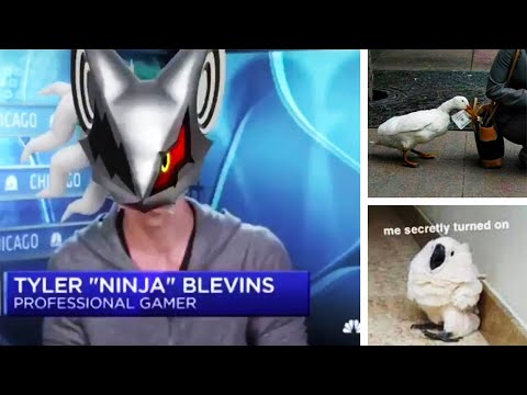 ninja-is-in-this-video-so-i-put-him-in-the-title-|-chat-makes-fun-of-me-|-discord-meme-review