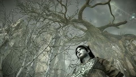 SHADOW OF THE COLOSSUS (PS4) Colossal Tree OOB