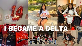 I PLEDGED DELTA SIGMA THETA // PROBATE GIFT OPENING