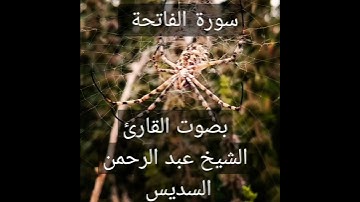 #قران_كريم   سورة الفاتحة بصوت الشيخ عبد الرحمن السديس