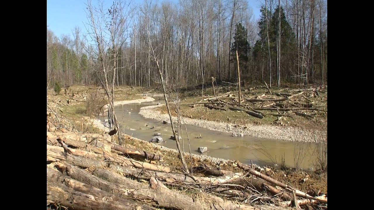 New Kentucky Trout Stream - YouTube