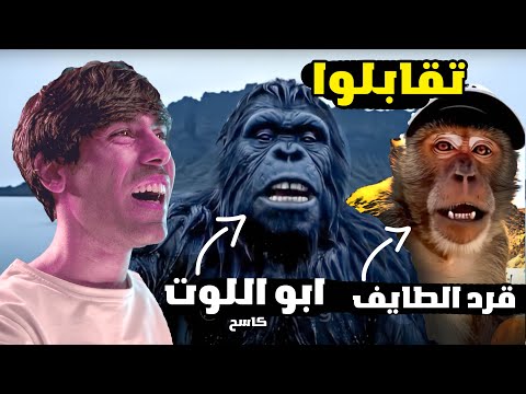 قرد الطايف ضد الغوريلا كاسف الغابة ضحك لا ينتهي
