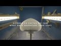 Citroën C4 Cactus Rip Curl | Artists