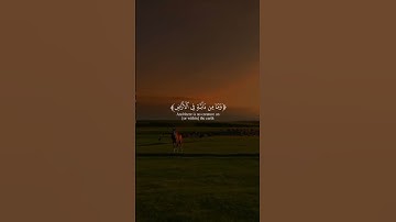وَمَا مِن دَابَّةٍ فِي الْأَرْضِ | محمد صديق المنشاوي | سورة الأنعام 🎧🤍
