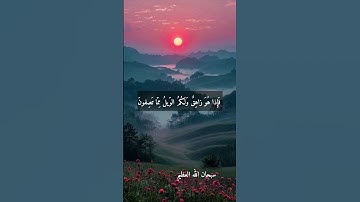 الشيخ حمدي الزامل نوادر روعه اجمل ما قراء رحمه الله #تلاوات