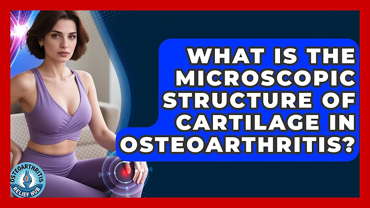 What Is The Microscopic Structure Of Cartilage In Osteoarthritis? - Osteoarthritis Relief Hub