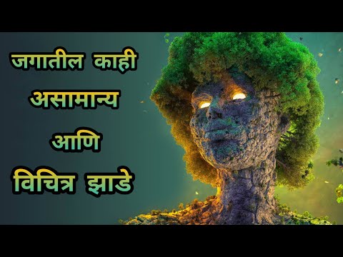 जगातील काही असामान्य आणि विचित्र झाडे (Some unusual and strange plants in the world) in #मराठी