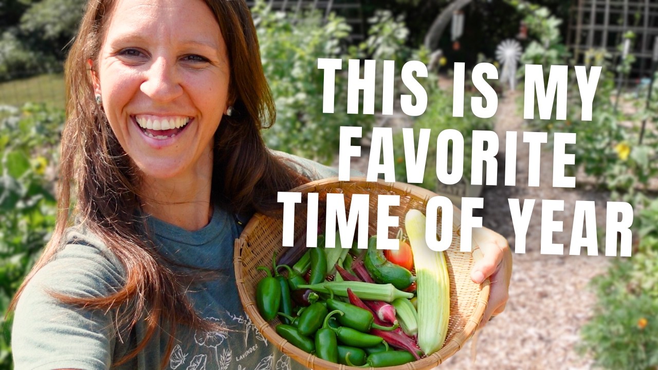 From Weeds to Seeds to ABUNDANT HARVEST (this garden space had 8ft high weeds)