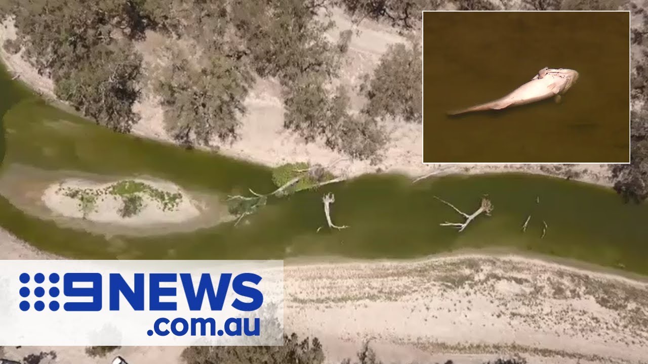 The Aussie towns running out of water Nine News Australia YouTube