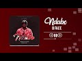 B Face - NDABE (Official Audio)