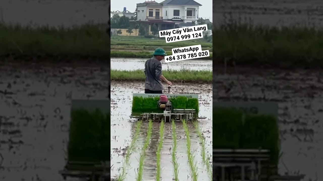 Working in the rain - Rice Transplanting Machine - youtube