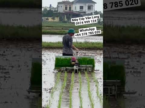 Video Working in the rain - Rice Transplanting Machine - youtube