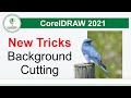 How to Remove and Cutting Background in CorelDraw and Corel Photo Paint New Tricks by, Amjad