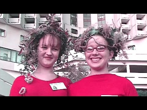 Do it yourself Своими руками 自己動手 自分でやる 직접 해 افعلها بنفسك इसे स्वयं करें Hazlo tu mismo ziminvideo