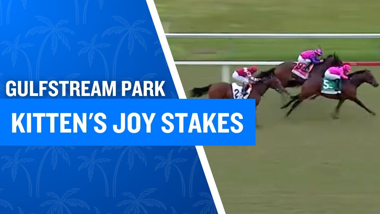 2026 $175,000 Kitten's Joy Stakes at Gulfstream Park