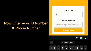 How to Check SASSA Status in 2025? Simple Steps to Check SRD SASSA Status