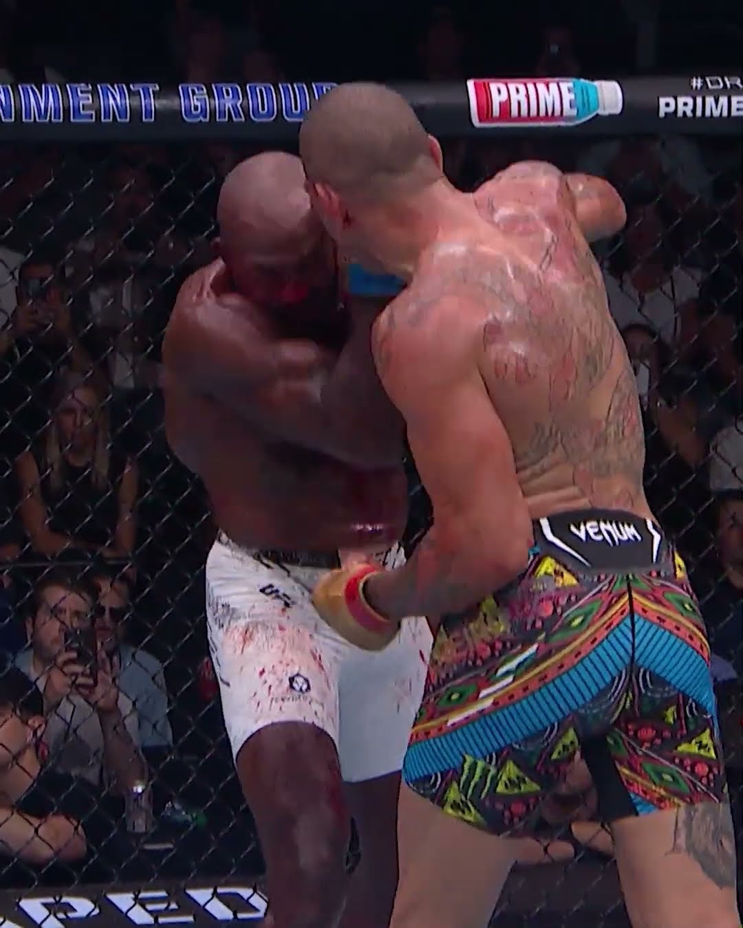 Alex Pereira hits like a TRUCK ? #ufc313