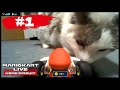 Cats vs Mario Kart Live: Home Circuit #1 [Compilation]