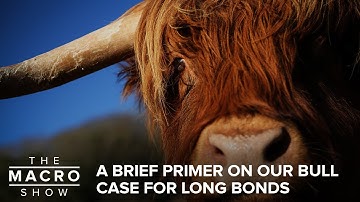 A Brief Primer On Our Bull Case For Long Bonds