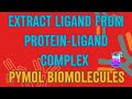 How to extract ligand from protein ligand complex pymol biomolecules