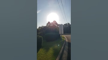 Pt. 2 Mockingbird attack!