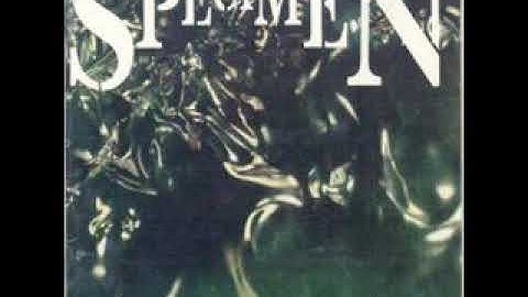 Specimen - Cool Operator (1993)