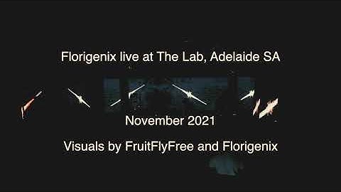 Florigenix (ambient modular synth) and Fruitflyfree (Livecoding/Video) at The Lab, Adelaide 2021