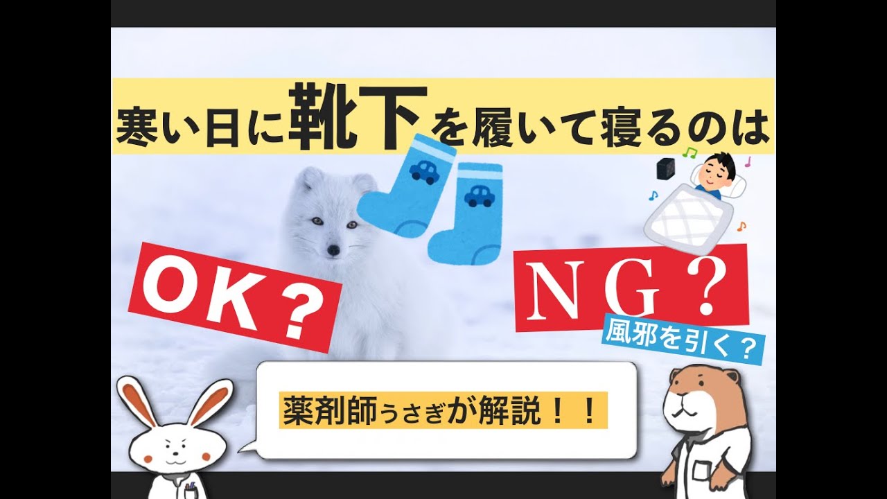 寒い日に靴下を履いて寝るのはok Ng 薬剤師うさぎが解説 Youtube
