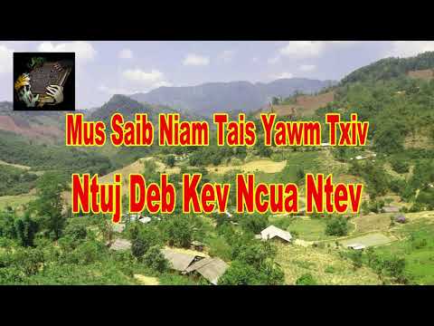 Video: Kev ncua thiab colloid yog dab tsi?