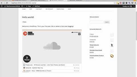 Wordpress Audio with Soundcloud