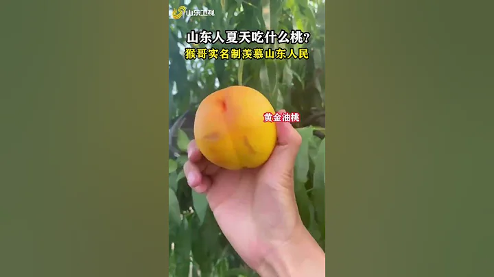 【#山東 人夏天不只吃豆橛子】接下來的山東人民要開始吃桃了，各種各樣的桃子，東子都有，大聖來了都得饞哭！ - 天天要聞
