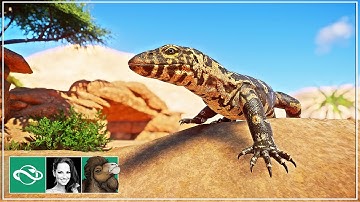🐫 Reptile House, Nile Monitor, Warthog & Tortoise | Desert Franchise Mode | Planet Zoo |