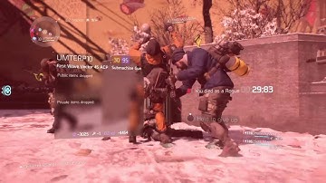 Playing Division| killing rogues\funny moments