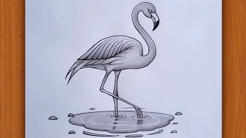 How to draw Flamingo bird Pencil drawing | Easy drawing ideas for beginners | Bird Drawing Pictures