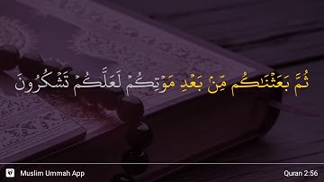 سوره بقره آیه 56