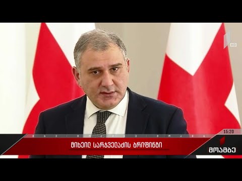 მიხეილ სარჯველაძის ბრიფინგი