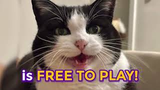 Bande-Annonce Du Jeu Flats Full Of Cats