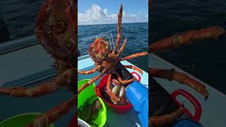 O gran parque temático do mar de Galicia. : unha explosión de cor, formas, beleza e variedade.