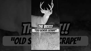 How To Make A Cheap “Mock Scrape” That Works!! #podcast #tips #deer #hunting #archery #whitetail