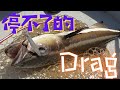 停不了的Drag x 三門仔 【艇釣日誌】香港釣魚