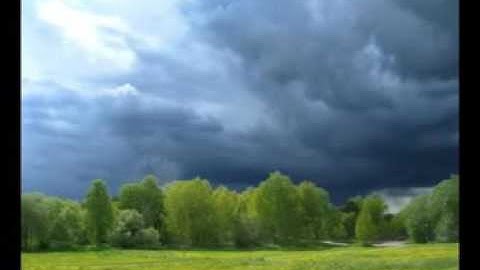 القارئ اليمني هشام الفلاحي