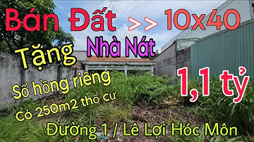 🌐 Chủ về quê Bến Tre ở cần bán gấp căn nhà nát Shr tạo lạc đường nhựa gần Lê Lợ Hóc Môn