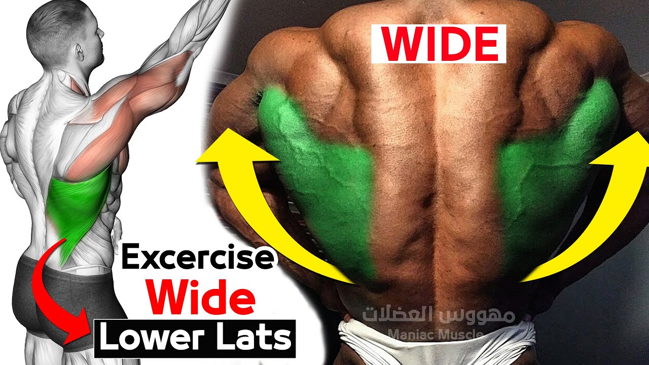 Daily Exercise To Build Lower Lats (V TAPER)