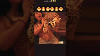 These Crazy Animals Are Too Funny! 🤣... #animalshorts #funnyanimals #animallife #animals #funnycute